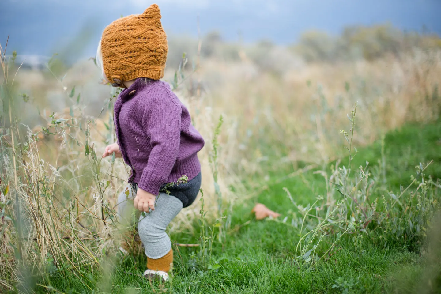 Plum Merino Wool Cardigan