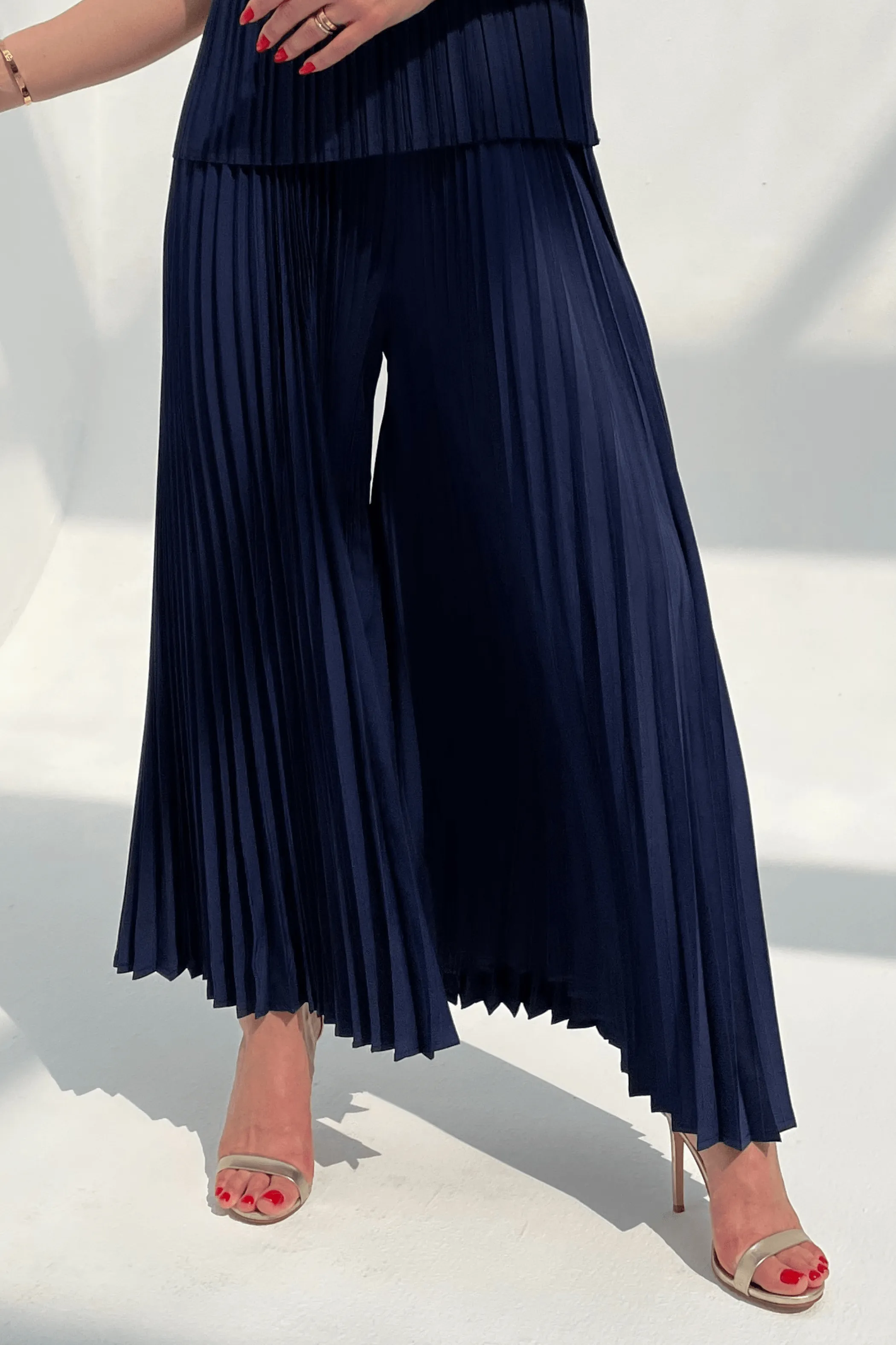 Priya Palazzo Pleated Pants