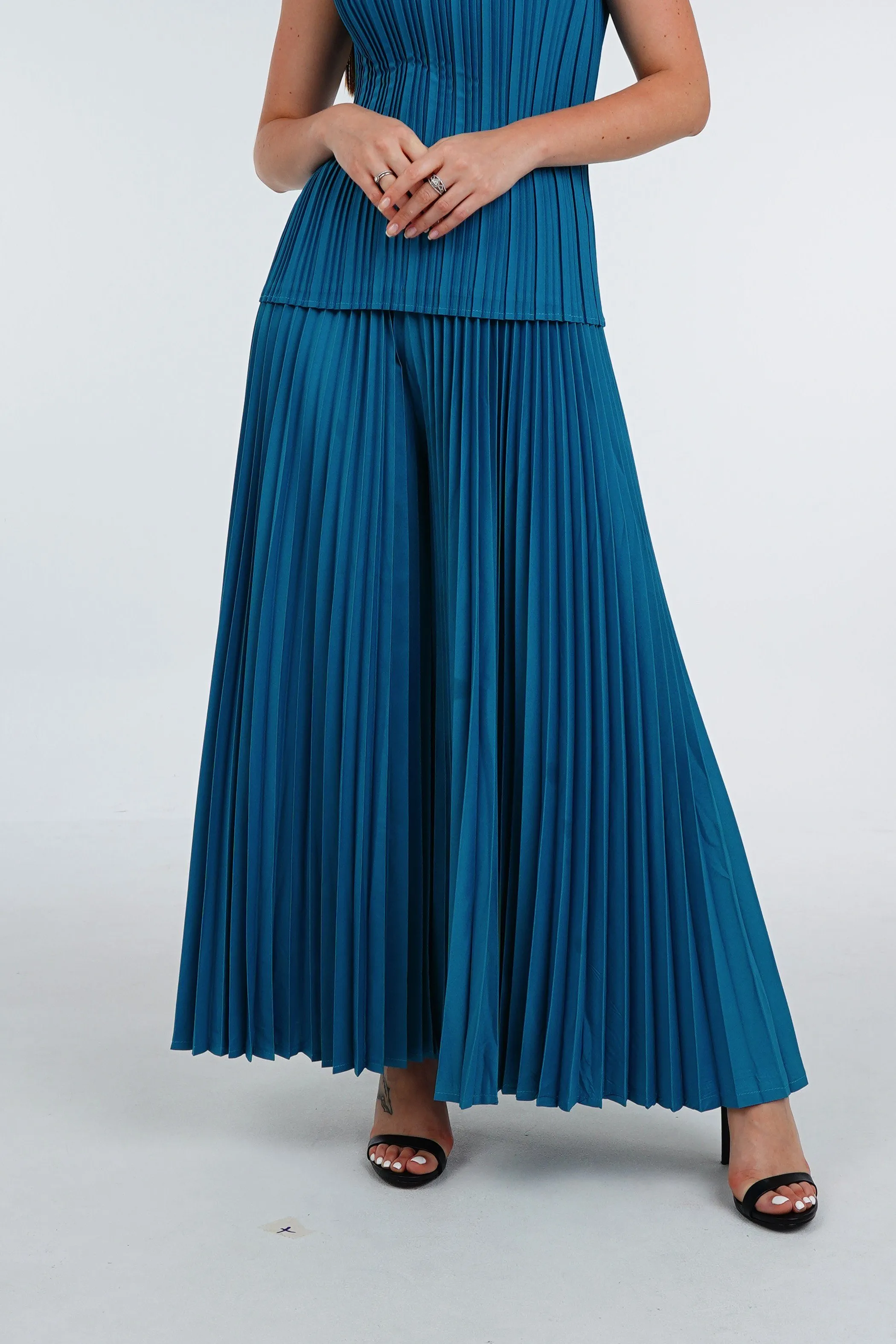 Priya Palazzo Pleated Pants