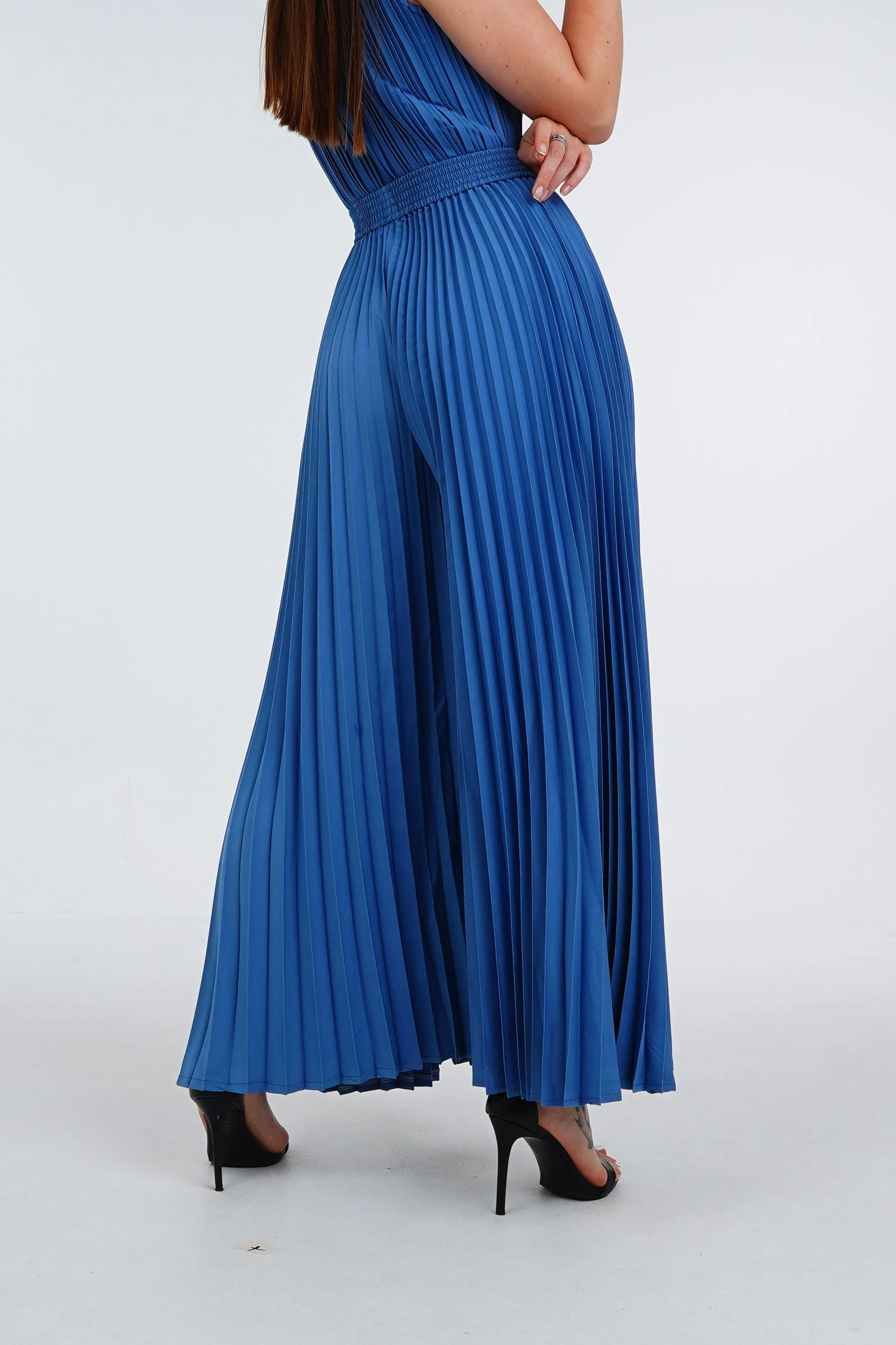 Priya Palazzo Pleated Pants