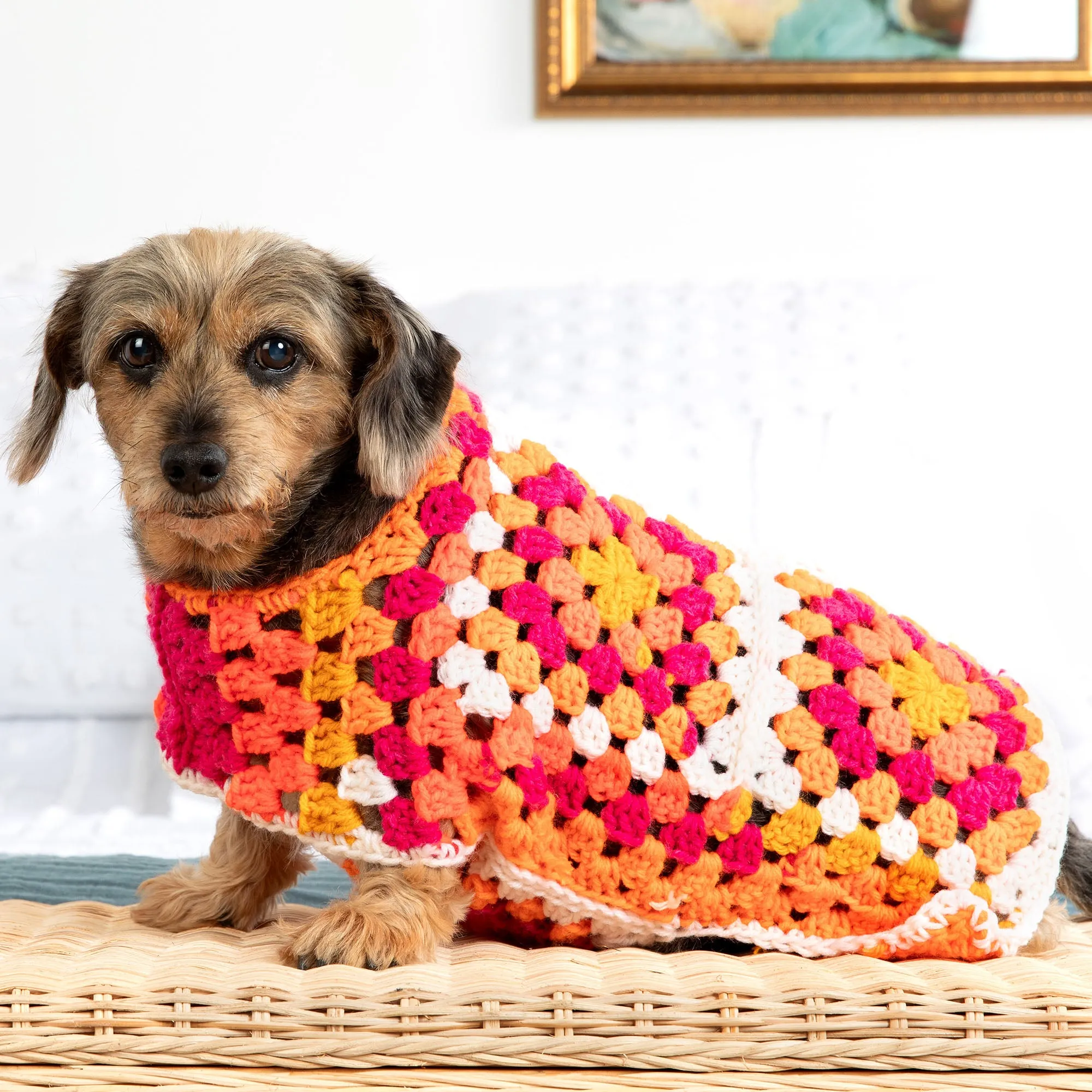 Red Heart Crochet Great Granny Dog Sweater