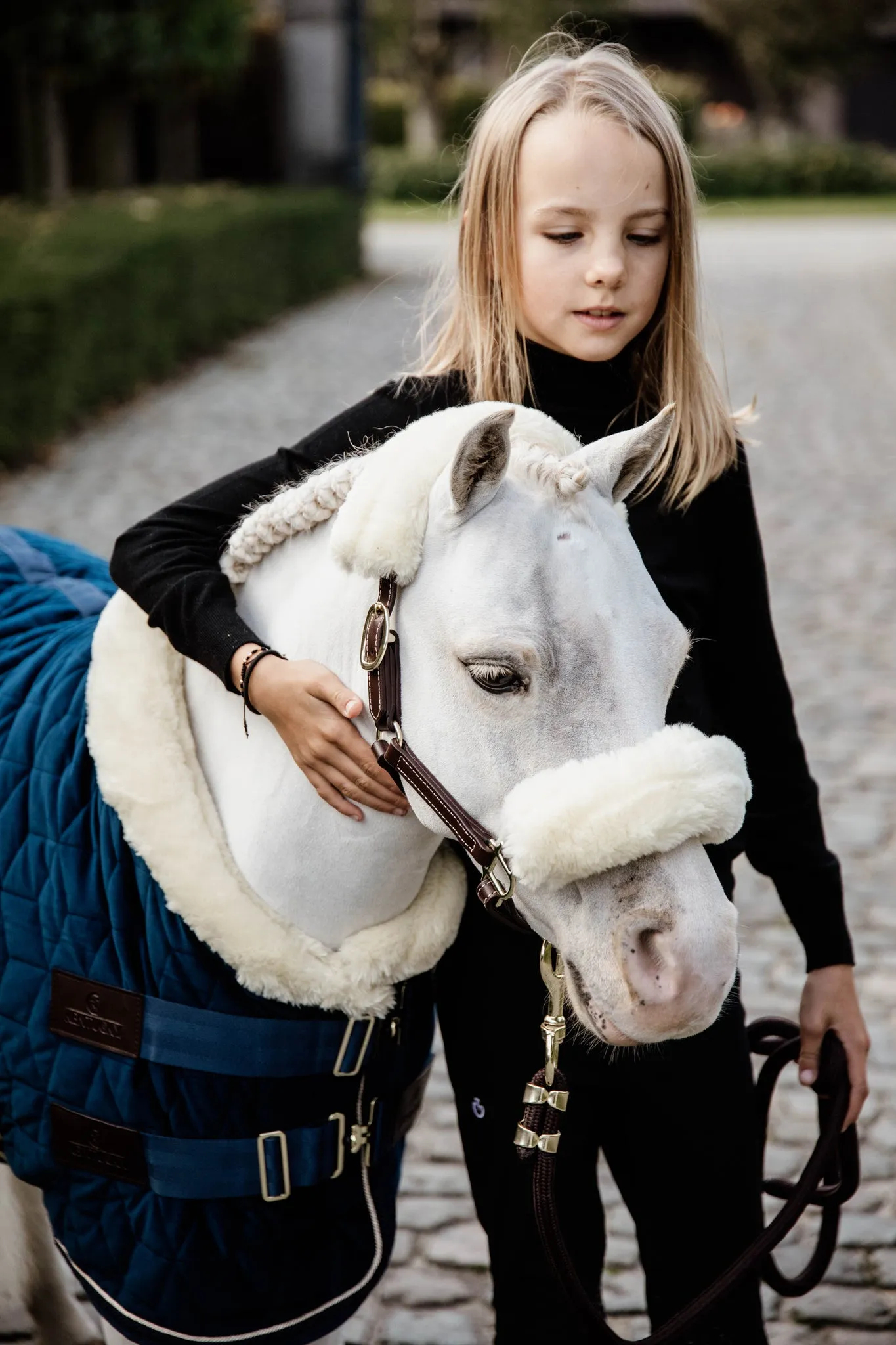 Show Rug Velvet Navy Tiny