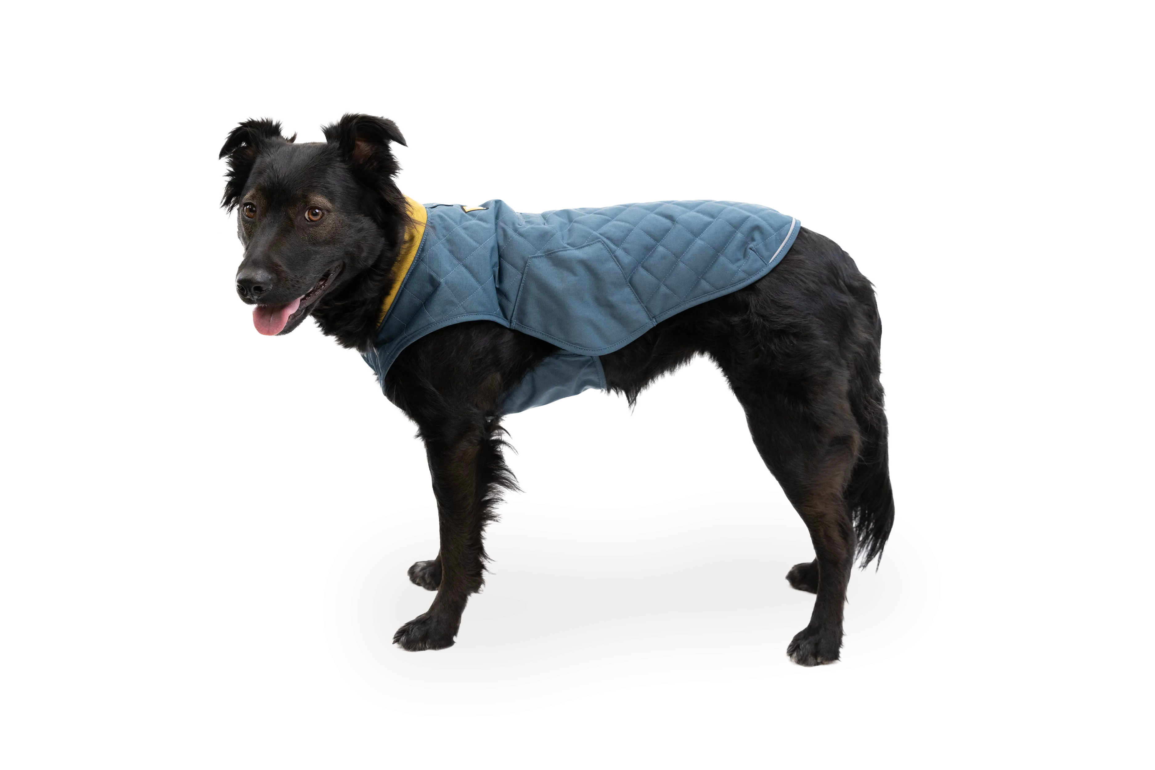 Stumptown™ Quilted Dog Coat