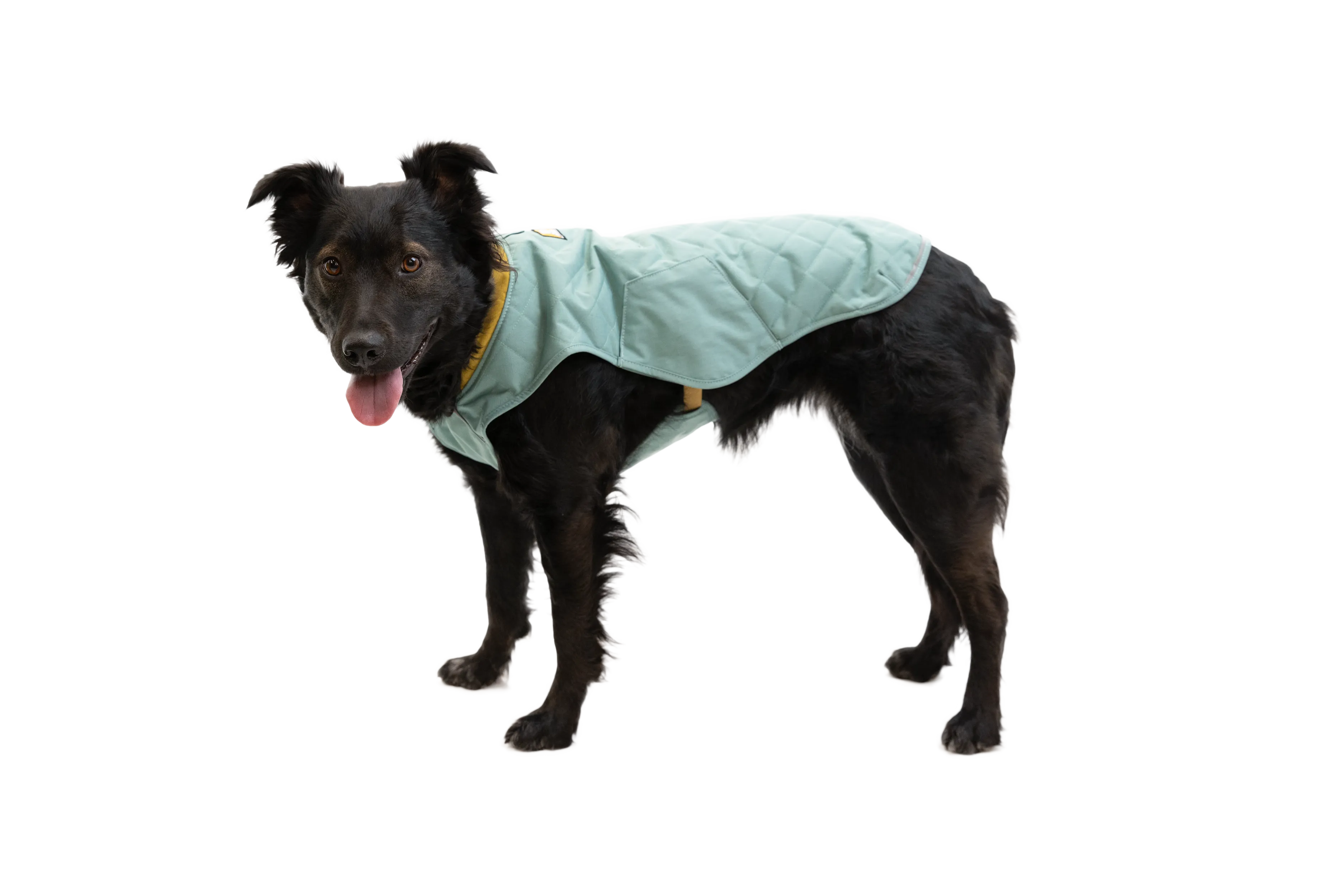 Stumptown™ Quilted Dog Coat